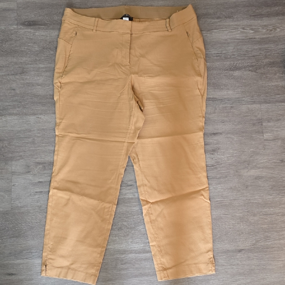 Lane Bryant Beige Pants